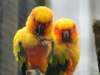 dsc00097_small.jpg