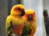 dsc00098_small.jpg