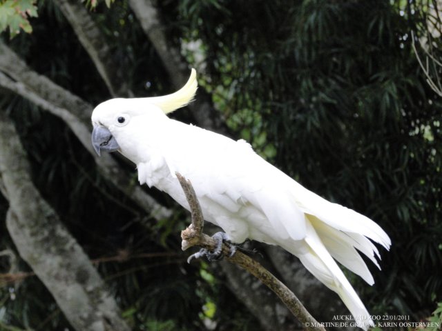 dsc00100.jpg