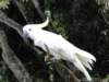 dsc00100_small.jpg