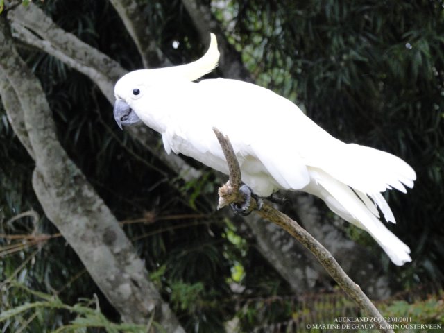 dsc00101.jpg