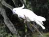 dsc00101_small.jpg