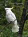 dsc00102_small.jpg