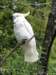 dsc00103_small.jpg