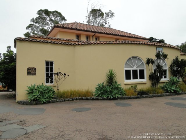 dsc00104.jpg