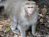 dsc00107_small.jpg