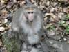 dsc00108_small.jpg