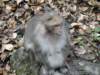 dsc00109_small.jpg