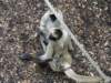 dsc00110_small.jpg
