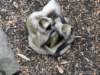 dsc00111_small.jpg