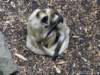 dsc00112_small.jpg