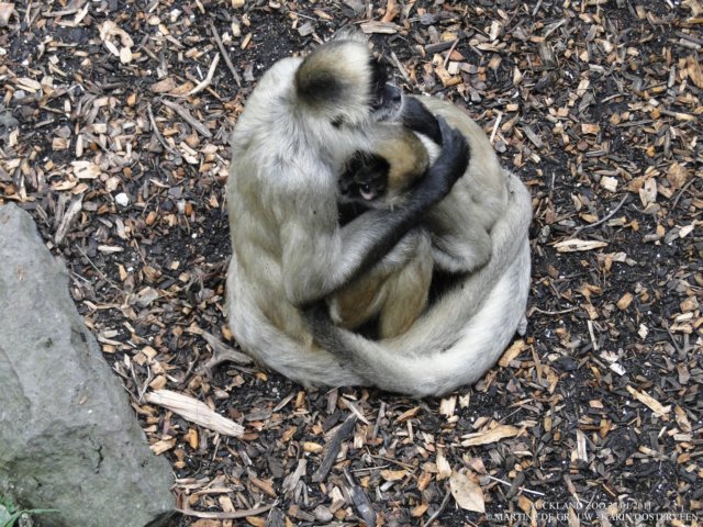dsc00113.jpg