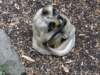 dsc00113_small.jpg