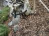 dsc00114_small.jpg
