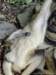 dsc00115_small.jpg