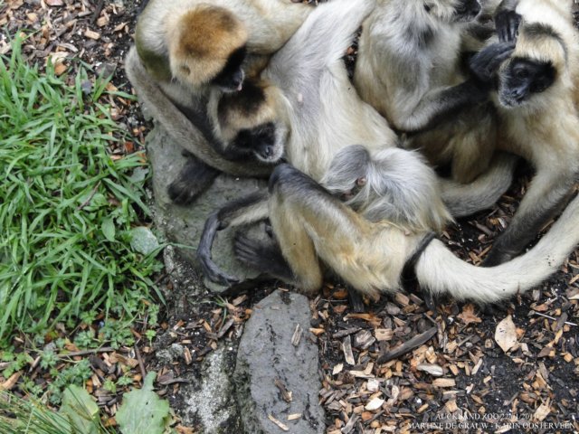 dsc00116.jpg