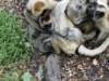 dsc00116_small.jpg