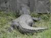 dsc00117_small.jpg