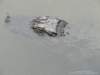 dsc00120_small.jpg