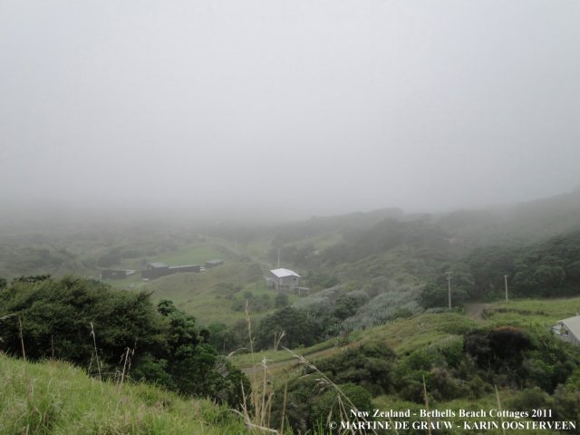 dsc00433.jpg