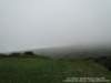 dsc00434_small.jpg