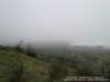 dsc00437_small.jpg