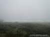 dsc00438_small.jpg