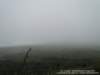 dsc00439_small.jpg