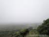 dsc00443_small.jpg