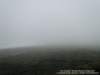 dsc00444_small.jpg