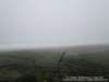 dsc00445_small.jpg