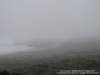 dsc00449_small.jpg
