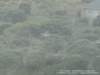 dsc00452_small.jpg