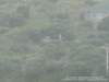 dsc00456_small.jpg