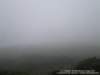 dsc00457_small.jpg