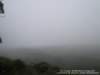 dsc00458_small.jpg