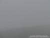 dsc00459_small.jpg