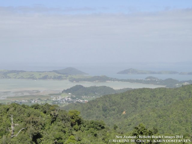 dsc00213.jpg