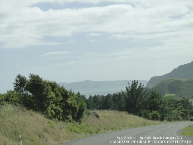 dsc00235.jpg