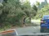 dsc00236_small.jpg