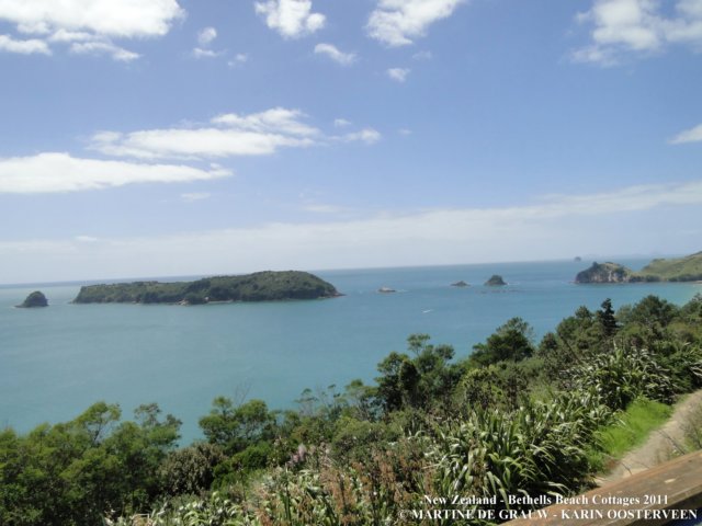 dsc00259.jpg