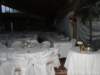 dsc00461_small.jpg
