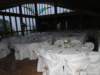 dsc00462_small.jpg