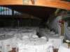 dsc00464_small.jpg