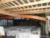 dsc00465_small.jpg
