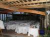 dsc00466_small.jpg