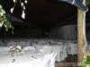 dsc00471_small.jpg