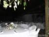 dsc00472_small.jpg