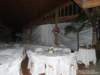 dsc00473_small.jpg