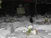 dsc00477_small.jpg
